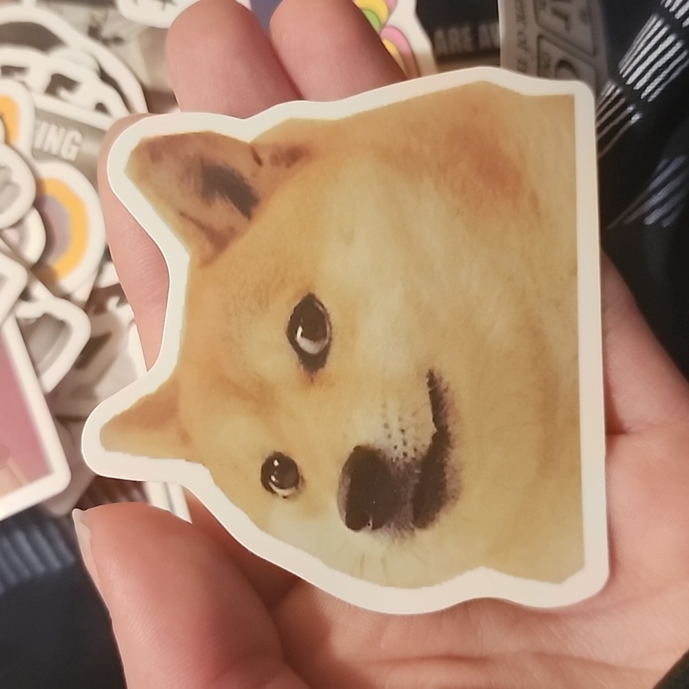 10/$10 Doge Vinyl Sticker